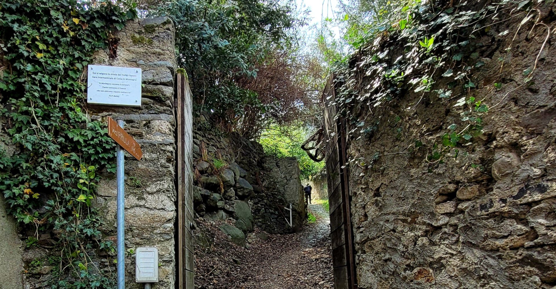 morbegno valle valli del bitto