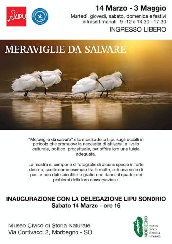 Mostra fotografica LIPU sugli uccelli in pericolo