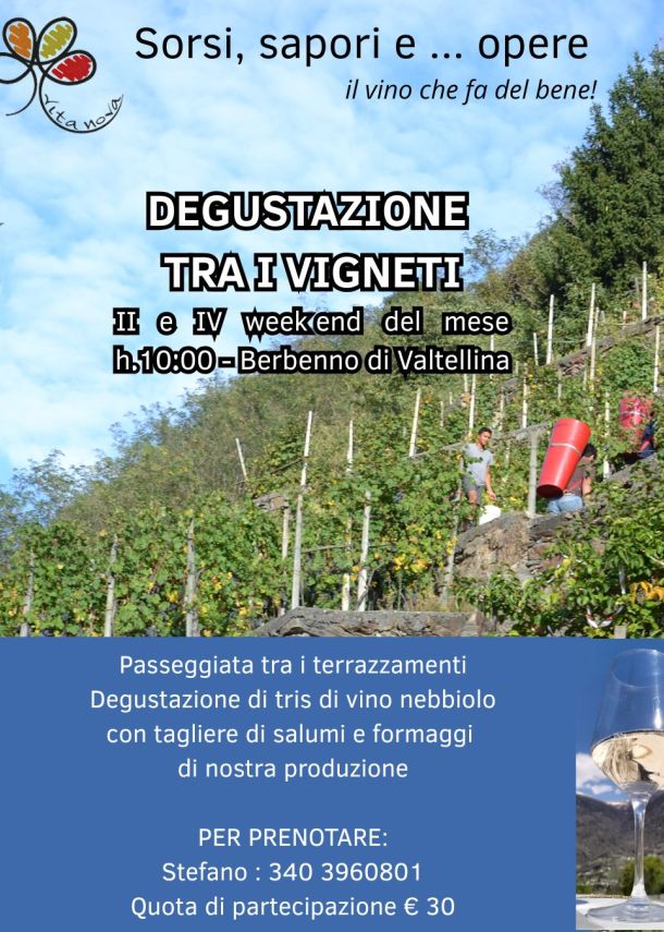 Degustazione tra i vigneti Berbenno