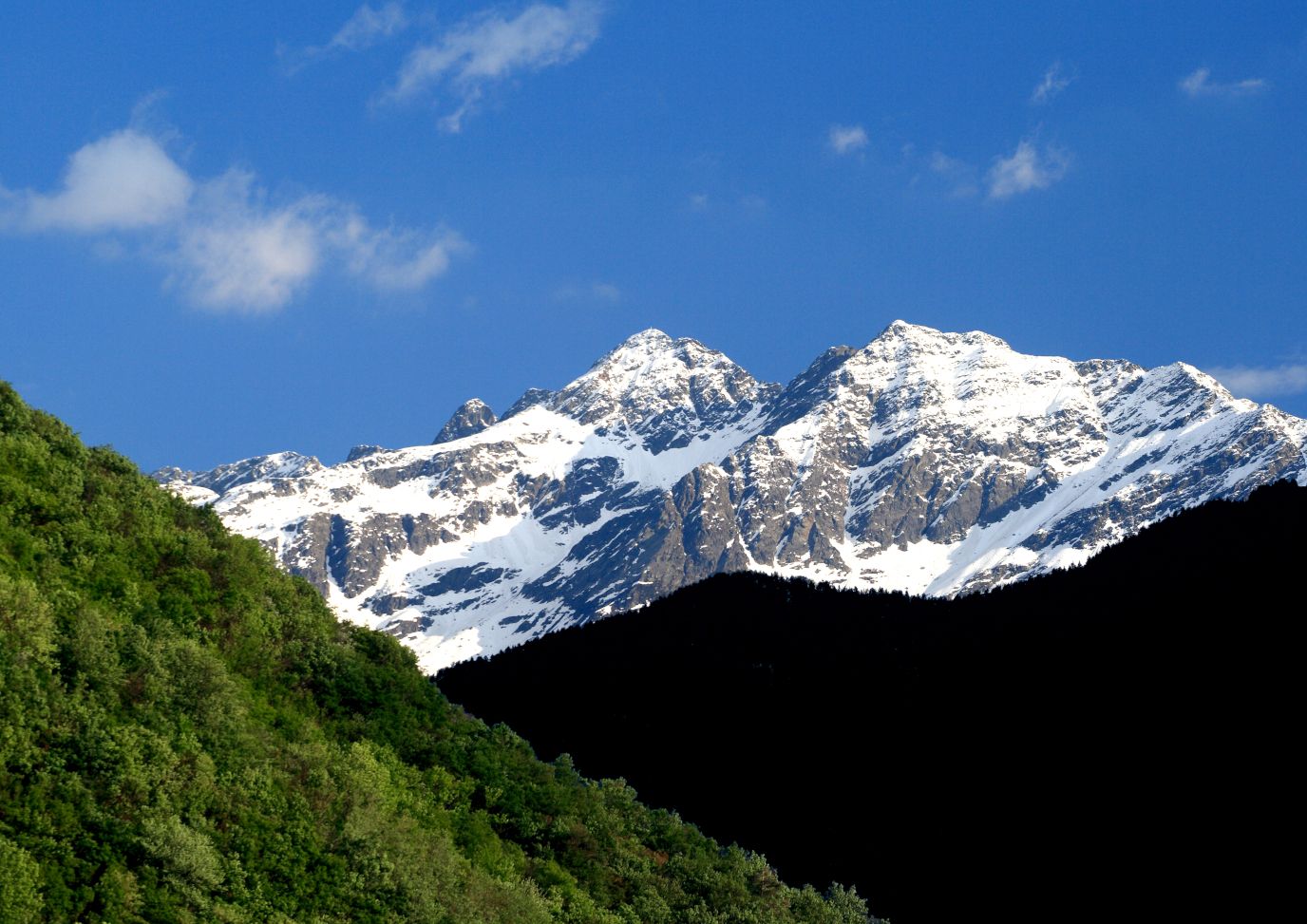 foresta regionale val lesina