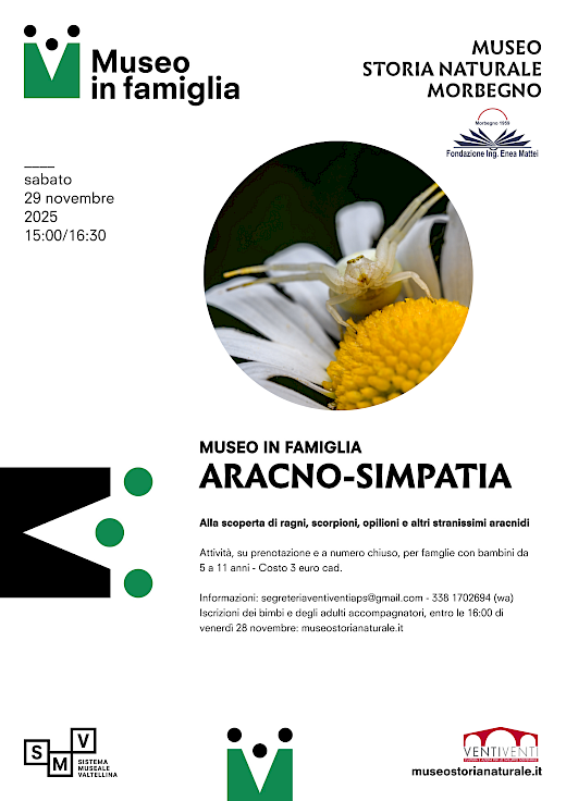 Attività per bambini al museo