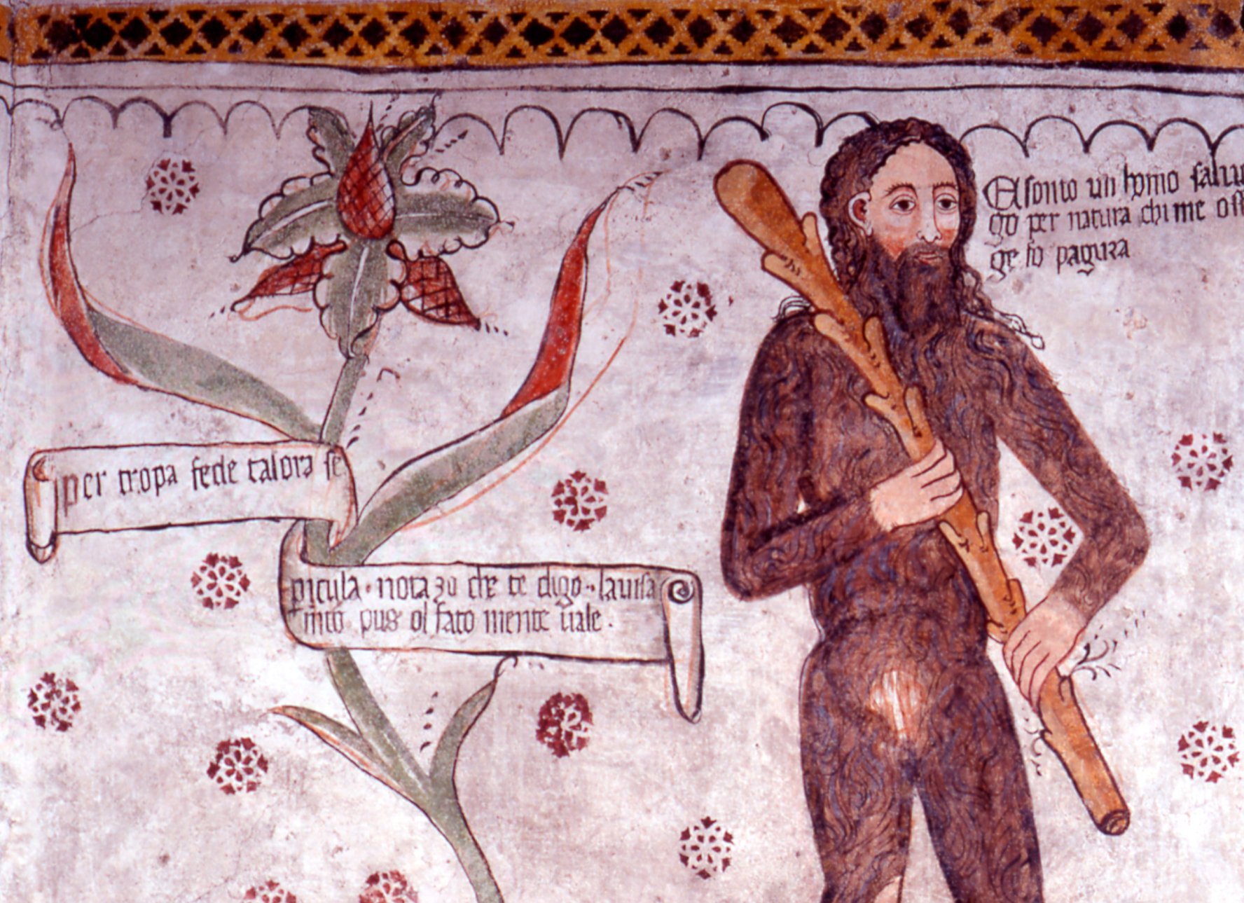 museo homo selvadego morbegno valgerola