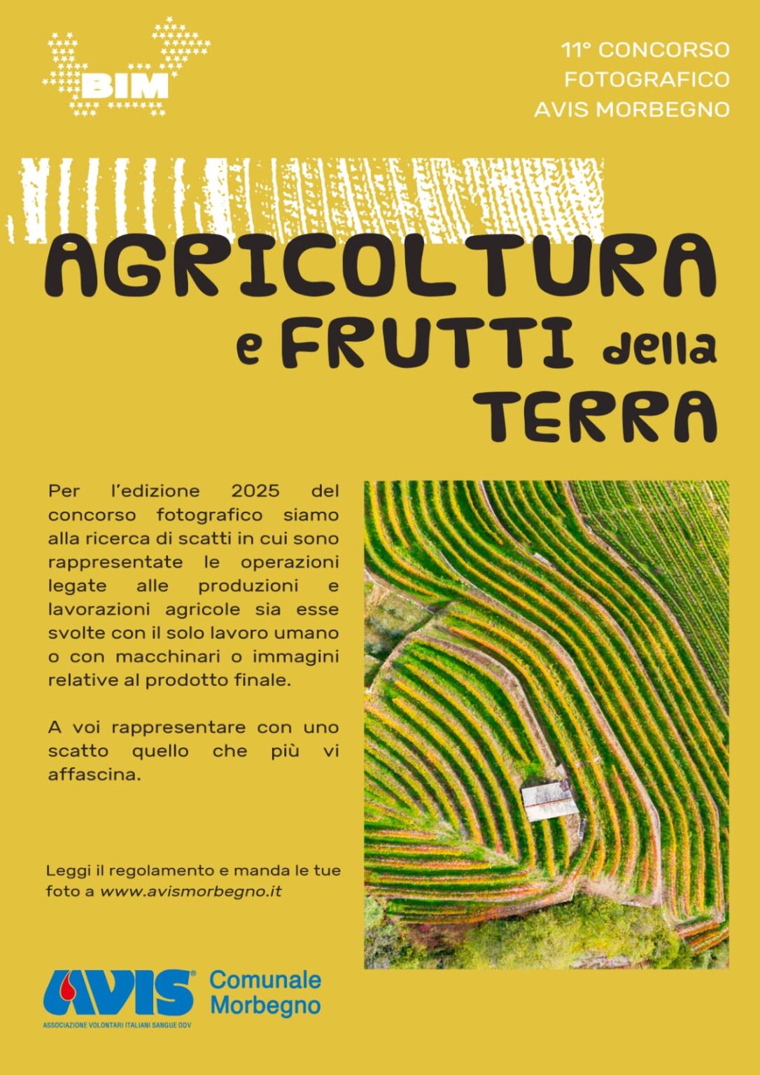 Concorso fotografico a tema produzioni e lavorazioni agricole