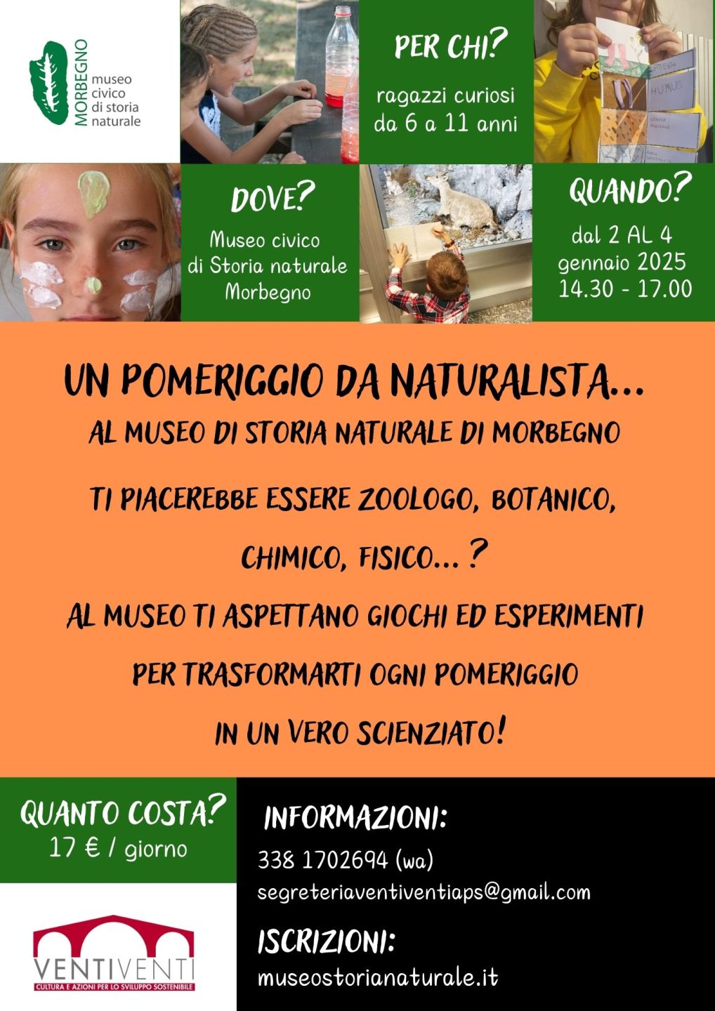 naturalista museo