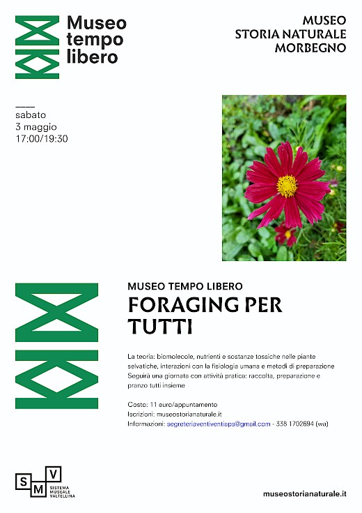 Corso di Foraging con il museo di storia naturale