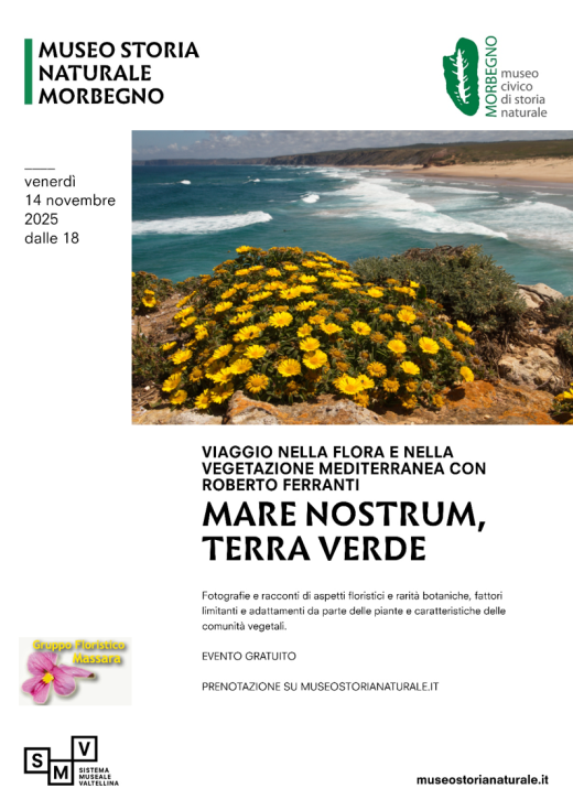 Serata di foto e racconti della flora mediterranea