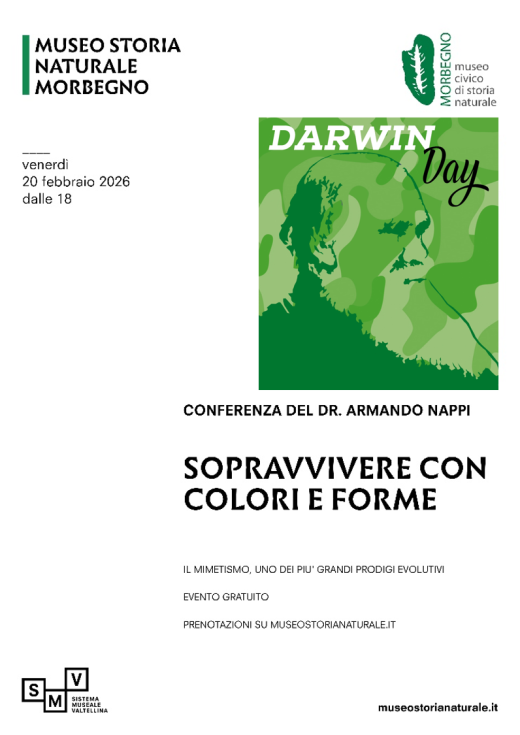 Mimetismo degli animali, prede o predatori: uno dei più grandi prodigi evolutivi