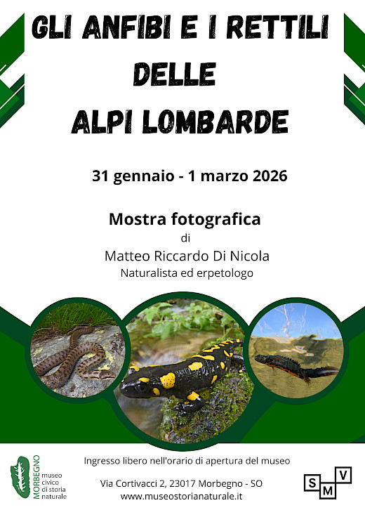 Mostra fotografica al museo di storia naturale