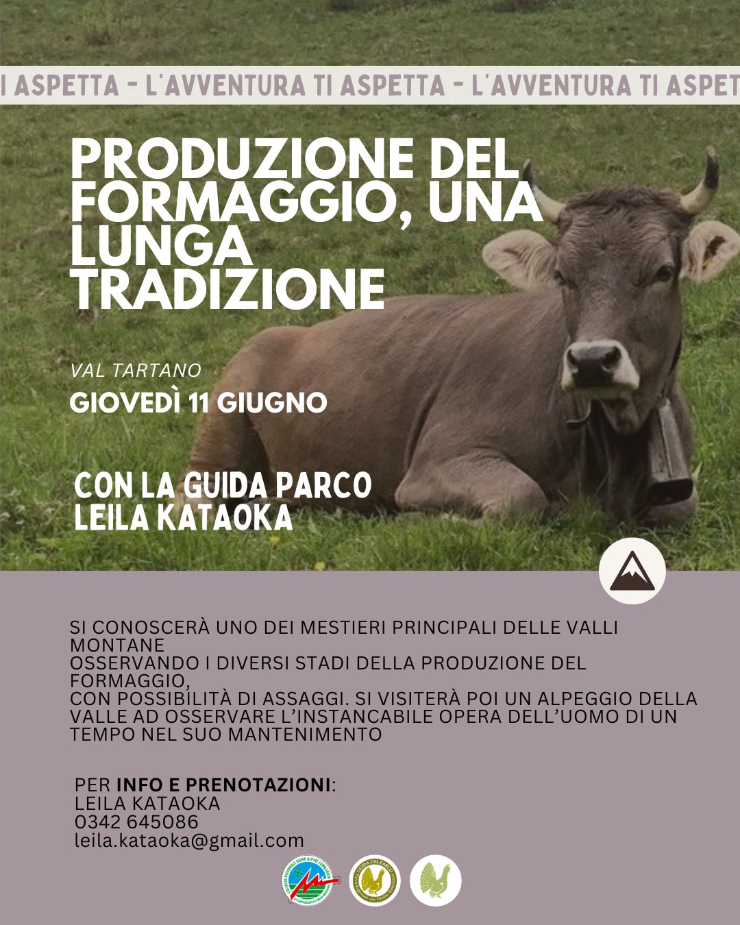 produzione del formaggio