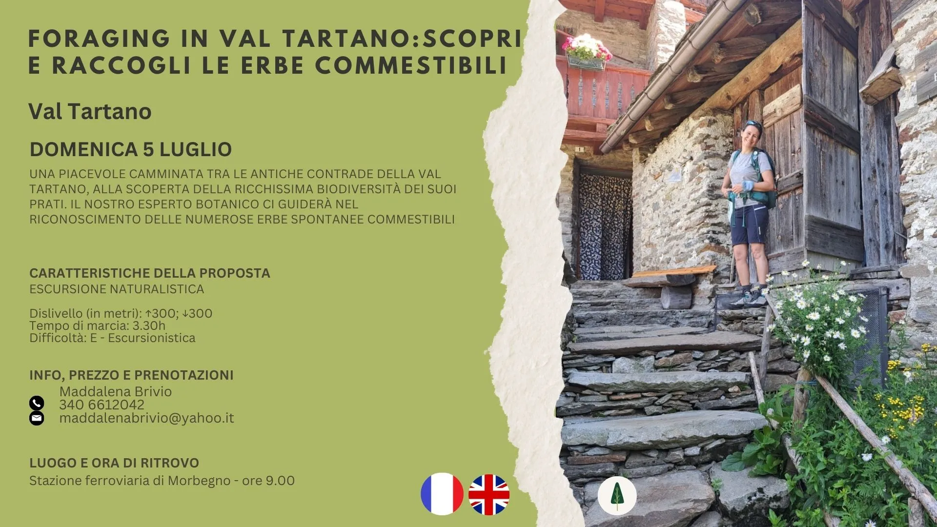 Scopri e raccogli le erbe commestibili