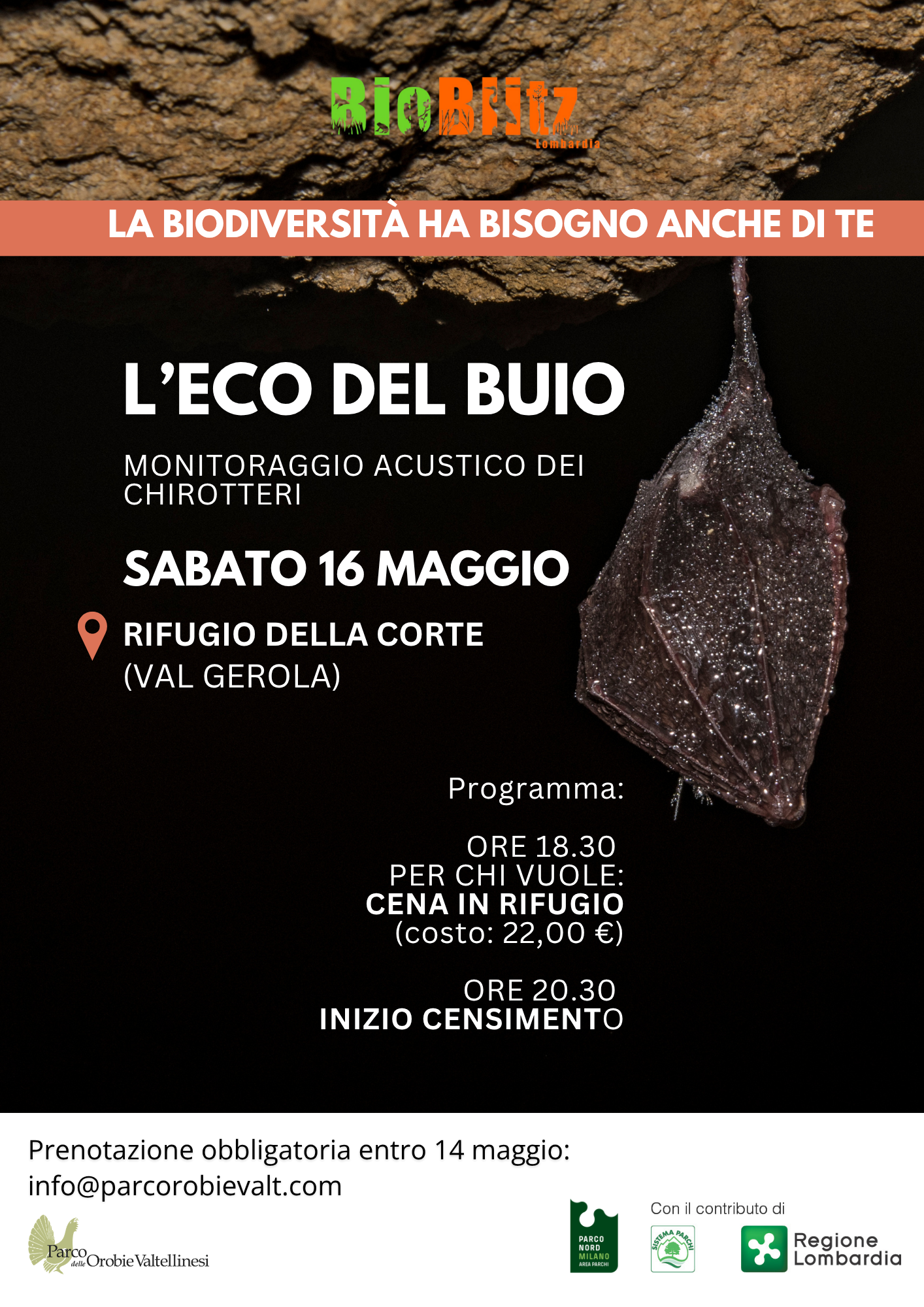 Monitoraggio acustico dei chirotteri in occasione di BioBlitz