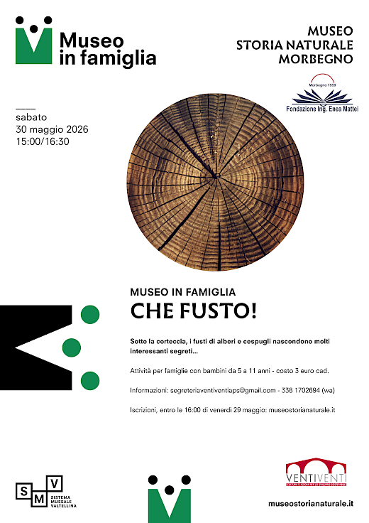 Attività per bambini la museo di storia naturale