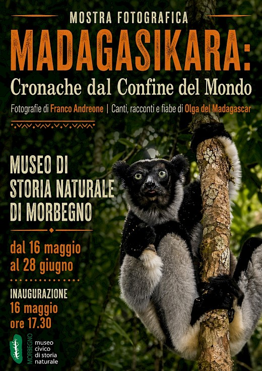 Museo di storia naturale Morbegno