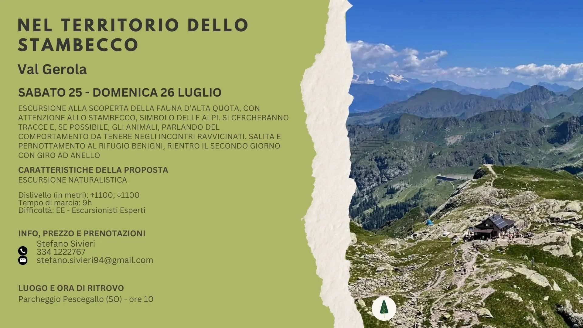 Nel territorio dello stambecco