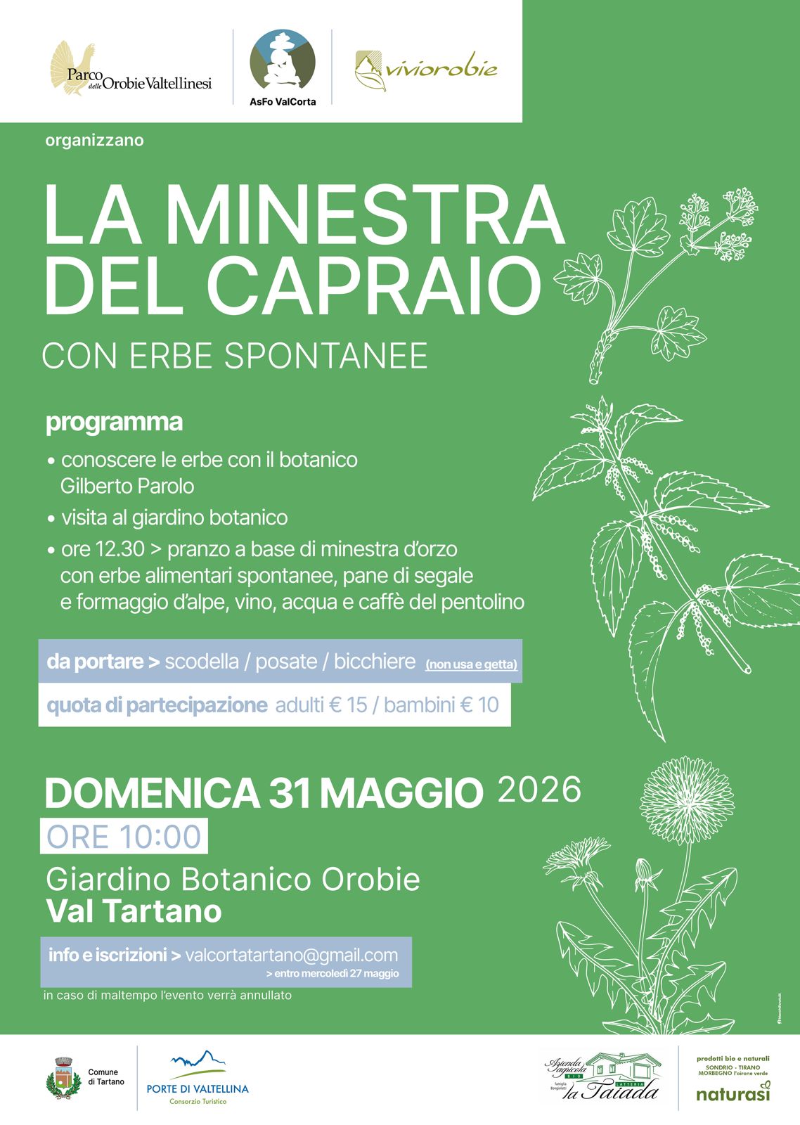 Conoscere le erbe con il botanico in Val tartano