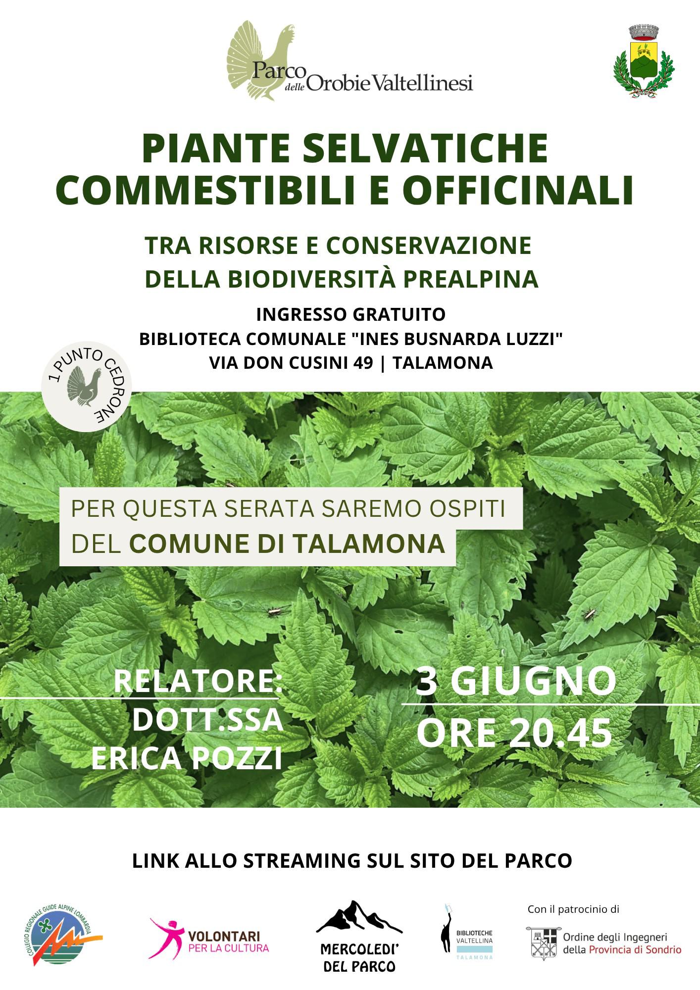 Piante selvatiche commestibili e officinali