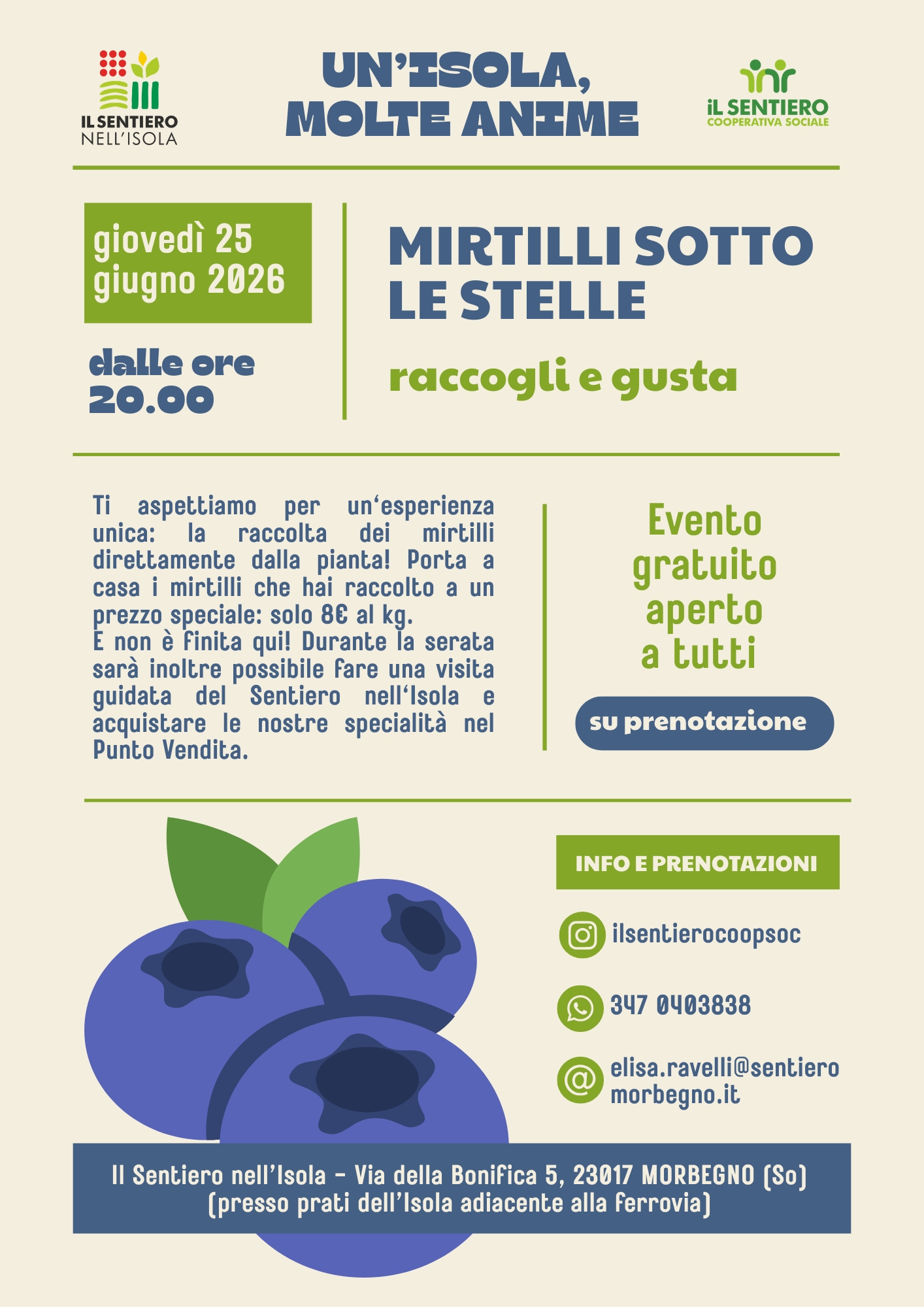 Mirtilli sotto le stelle
