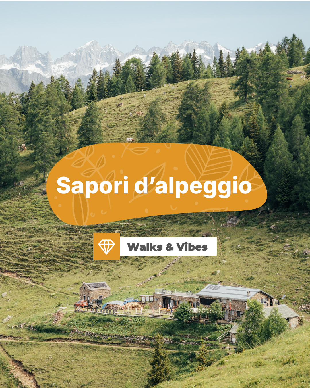 sapori d'alpeggio
