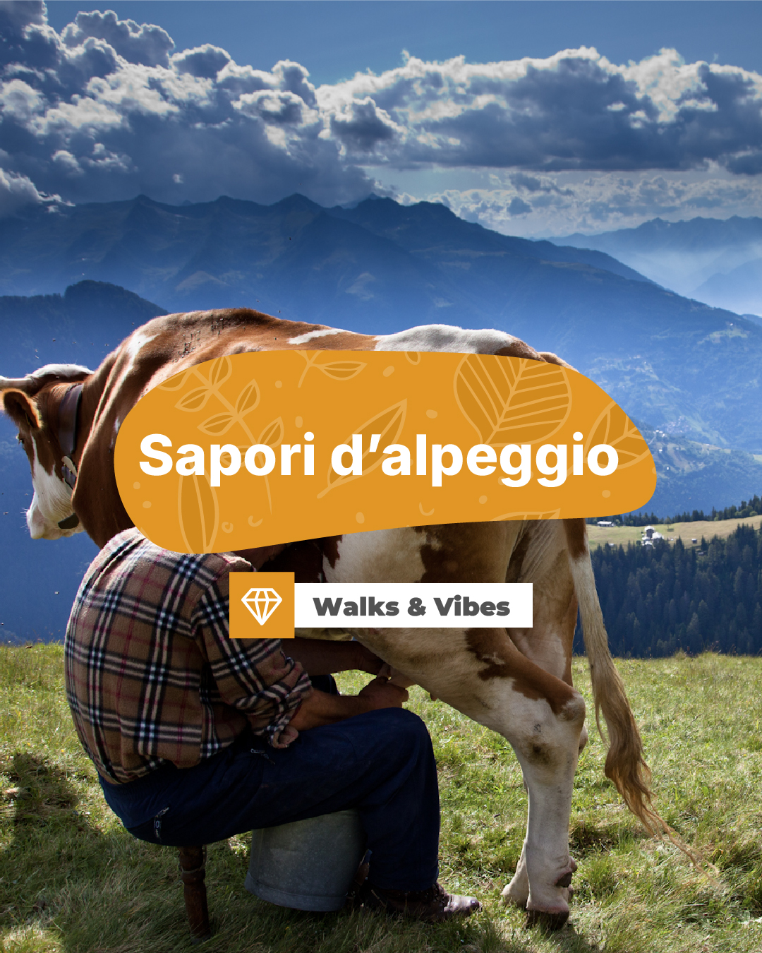 Sapori d'alpeggio