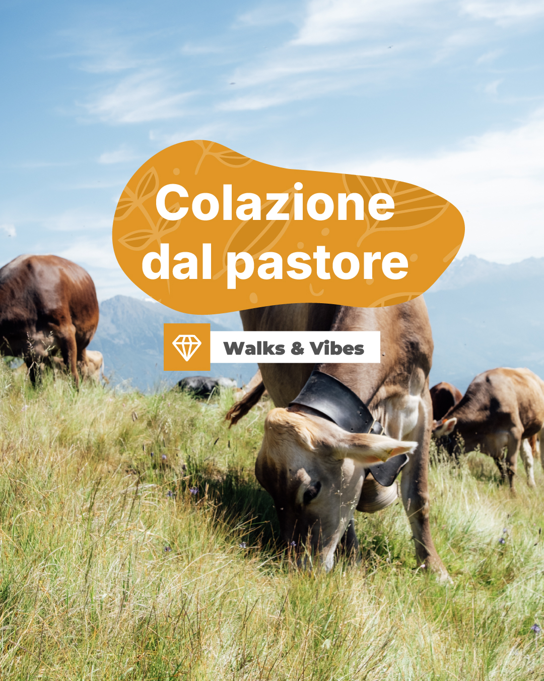 colazione del pastore