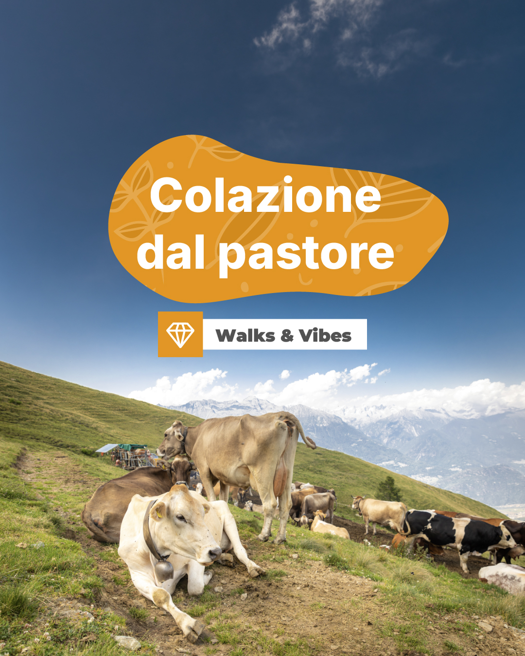colazione dal pastore