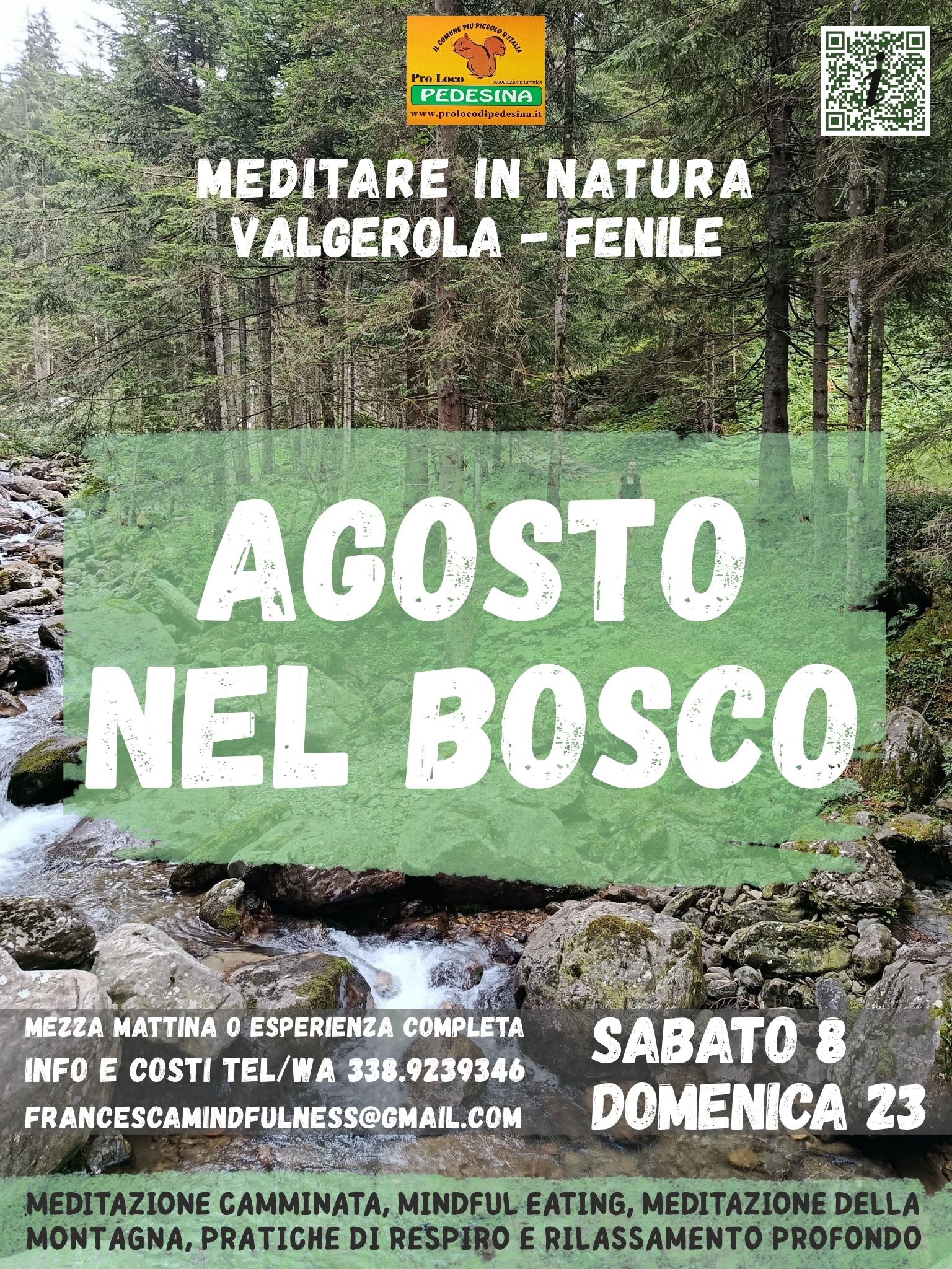 agosto nel bosco