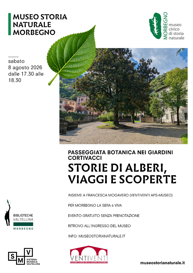 Passeggiata botanica al museo