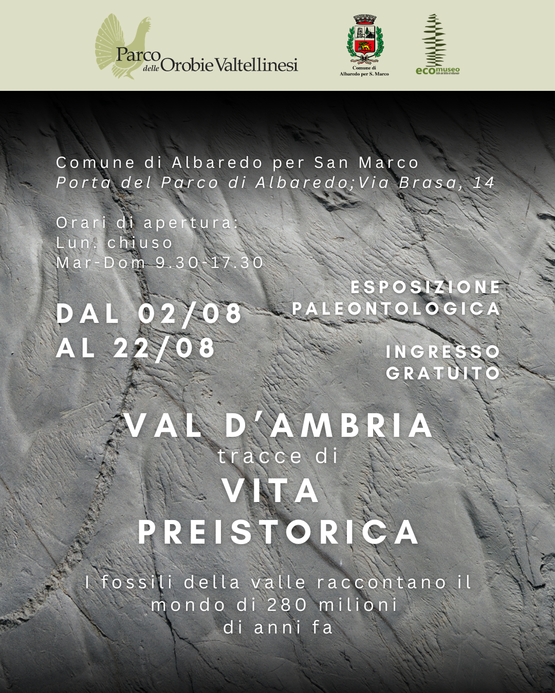 mostra paleontologica