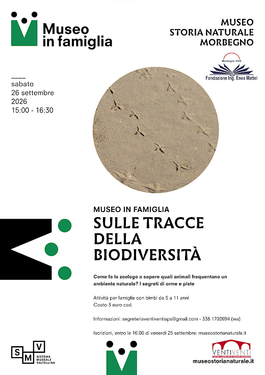 Attività per famiglie al museo di storia naturale