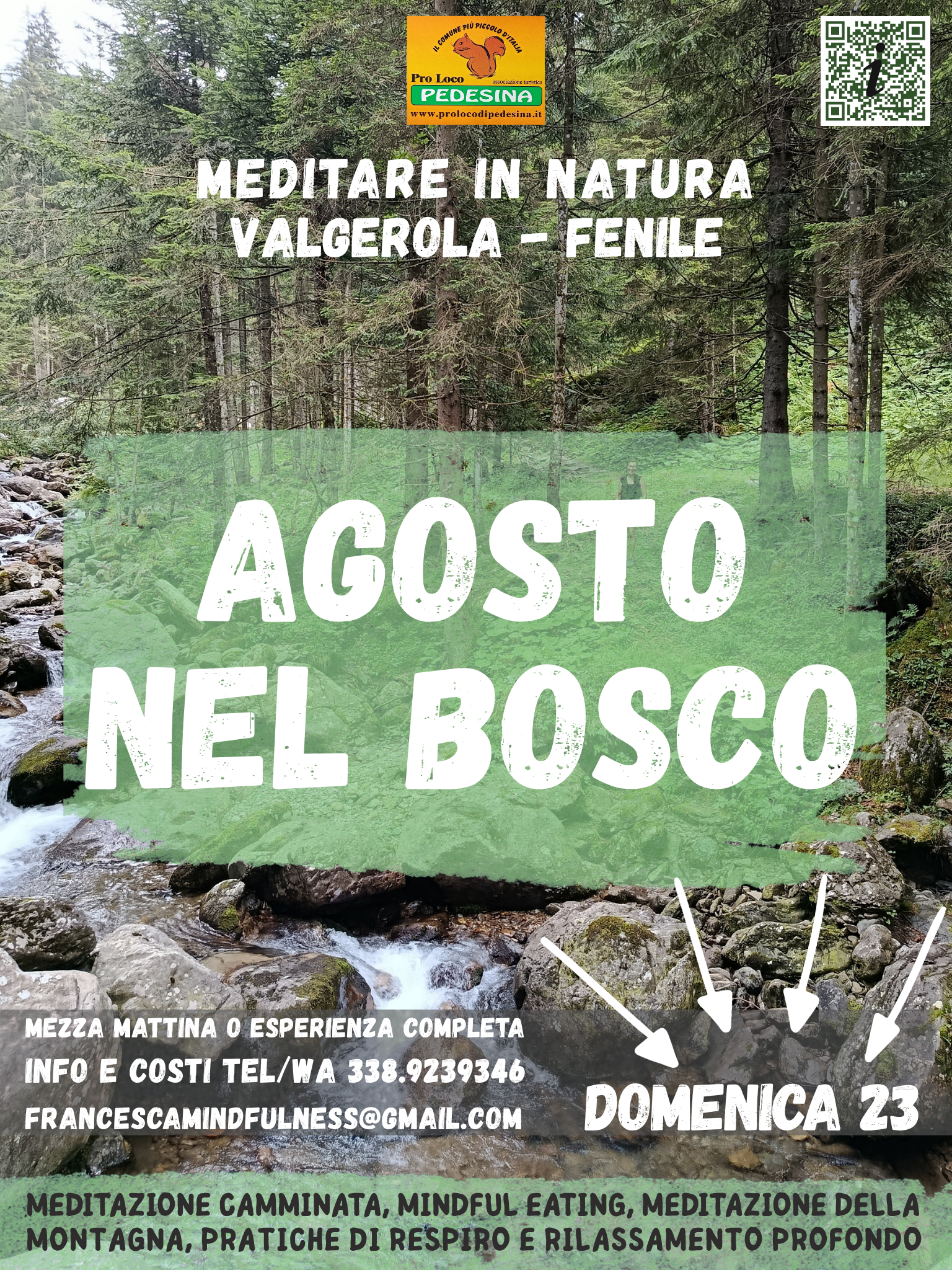 Agosto nel bosco