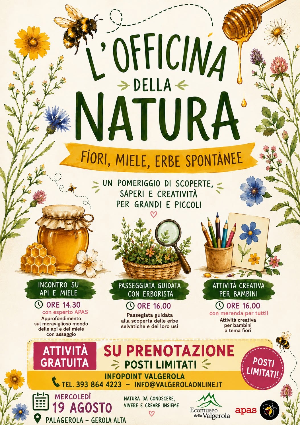 erbe gerola