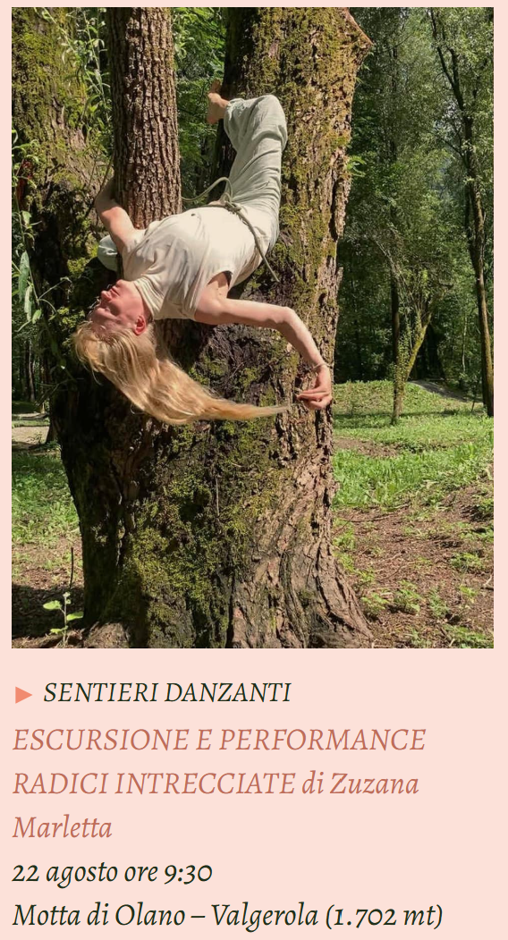 sentieri danzanti - Rami d'ora