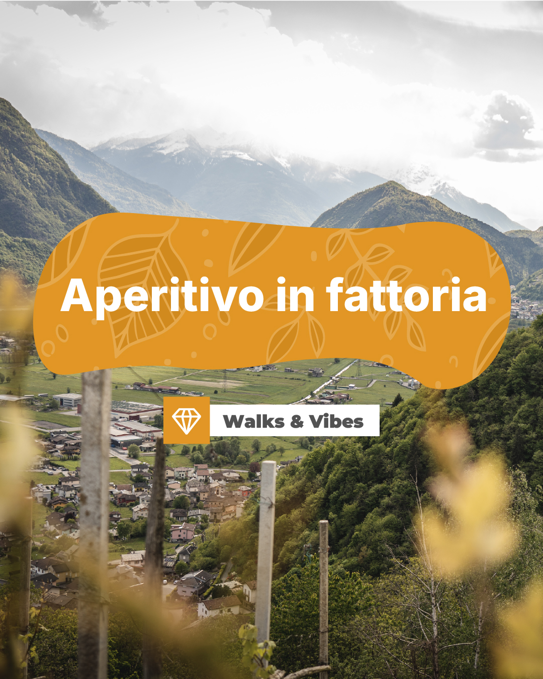 Aperitivo in fattoria