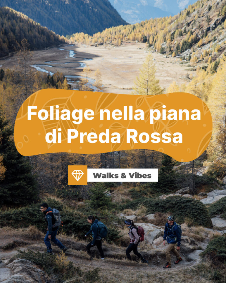 walks&vibes preda rossa