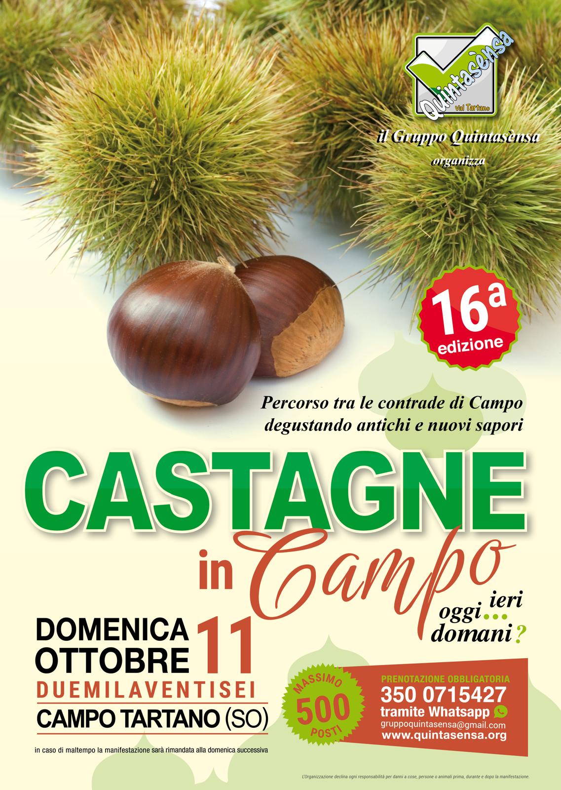 castagne in campo