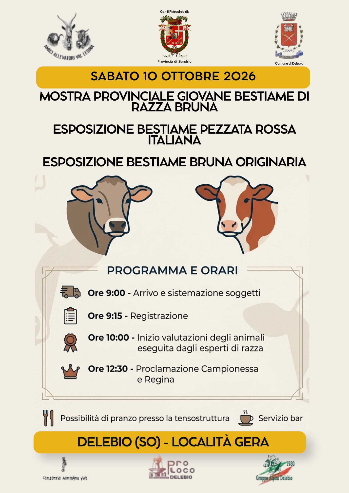 Mostra provinciale giovane bestiame di razza bruno alpina