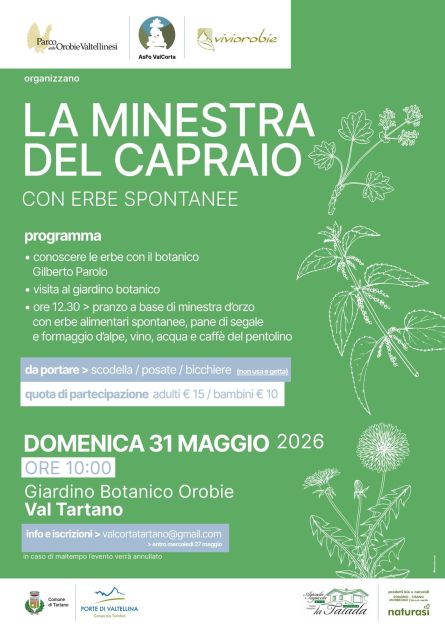 Conoscere le erbe con il botanico in Val tartano