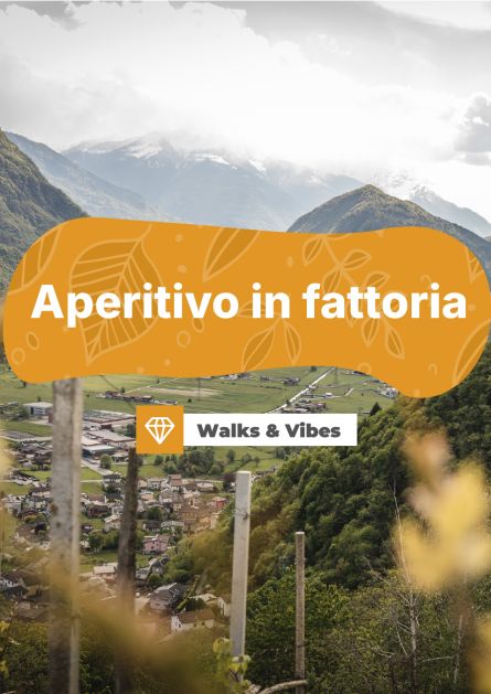 Aperitivo in fattoria