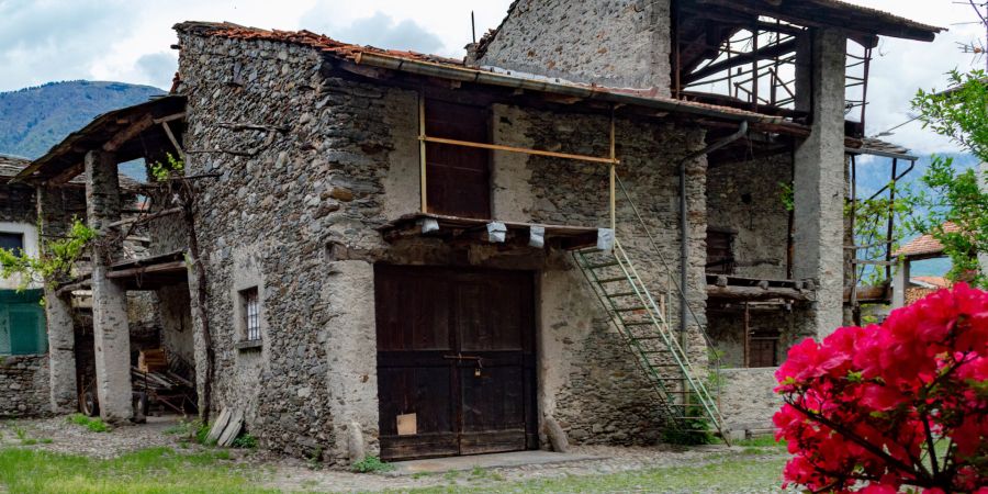 colondello delebio