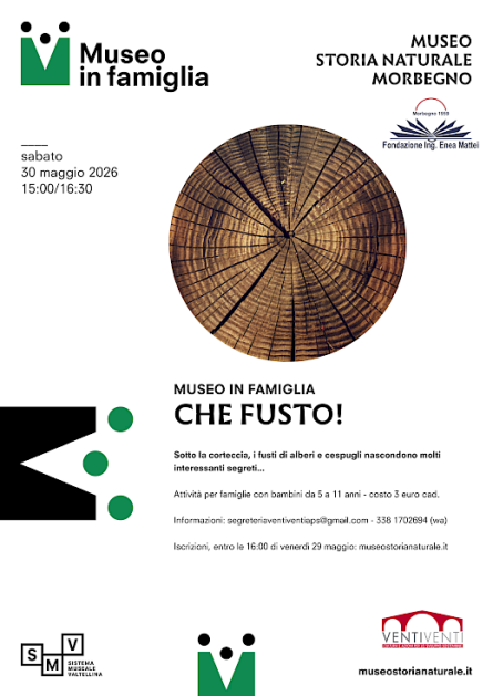 Attività per bambini la museo di storia naturale