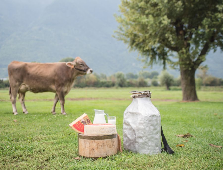 produttori e aziende agricole