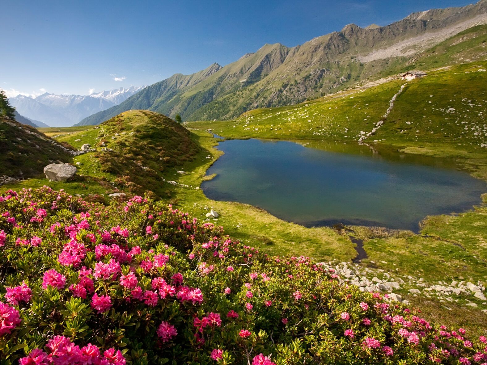 Laghi di Porcile val tartano orobie