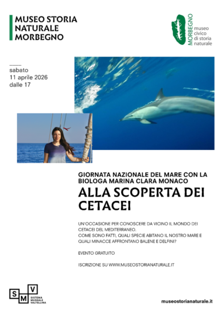 seminario  per scoprire il mondo dei cetacei