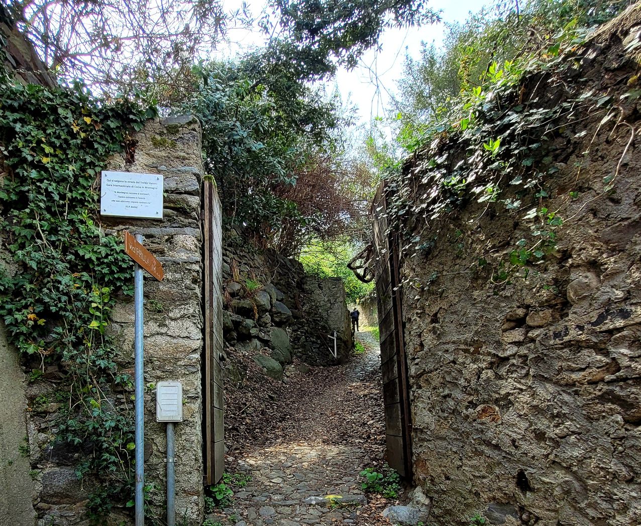 morbegno valle valli del bitto