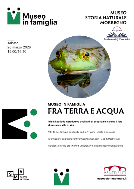 Attività per famiglie al museo