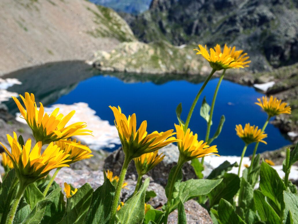 giro dei laghi valgerola pescegallo