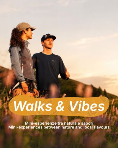walks & vibes