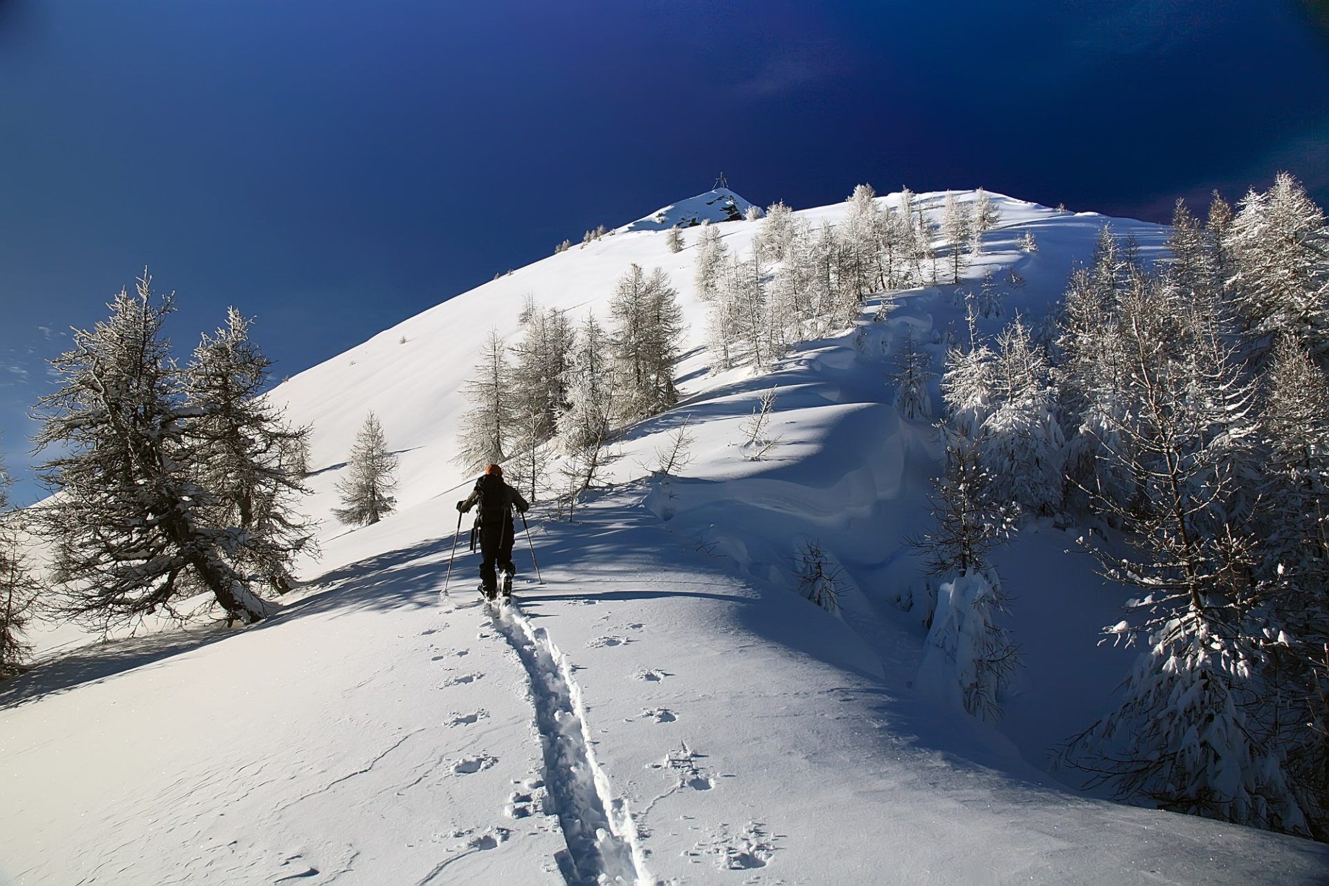 cima rosetta inverno