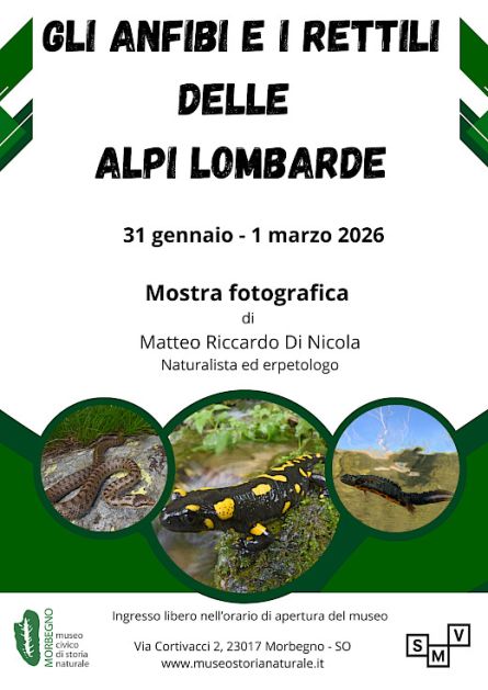 Mostra fotografica al museo di storia naturale