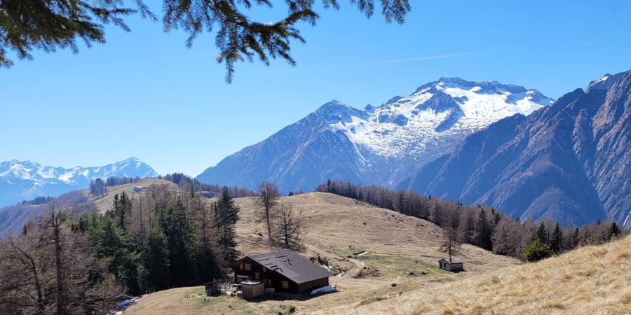 cicloitinerario buglio in monte alpe granda